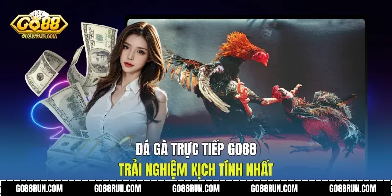 Đá Gà Trực Tiếp Go88 Trải Nghiệm Kịch Tính Nhất
