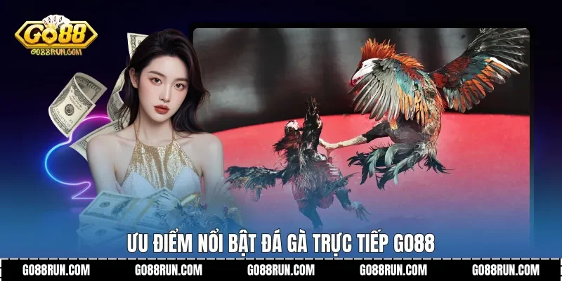 Ưu điểm nổi bật Đá gà trực tiếp Go88